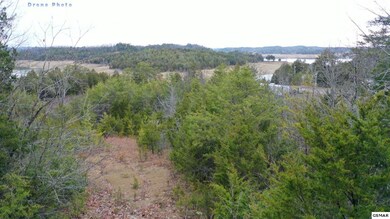 Additional View 3