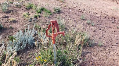 4820 Limestone Rd, Monument, CO 80132 - photo 7