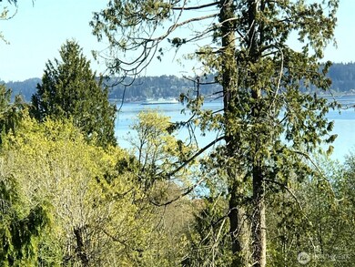 3228 Harper Hill Rd SE, Port Orchard, WA 98366 - photo 6