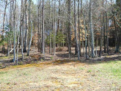 Land/Lot - View of Lot from Waterfront