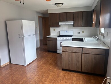 965 S Cora St unit 3N, Des Plaines, IL 60016 - photo 2