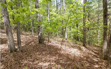 L 62 Quin Springs, Ellijay, GA 30540 - photo 4