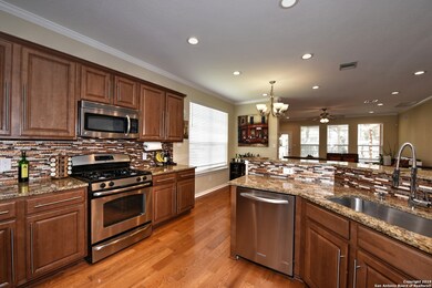 25602 Bottle Brush, San Antonio, TX 78261 - photo 7