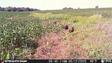 14.8 ac 6120 Kk Rd, Waterloo, IL 62298 - photo 6