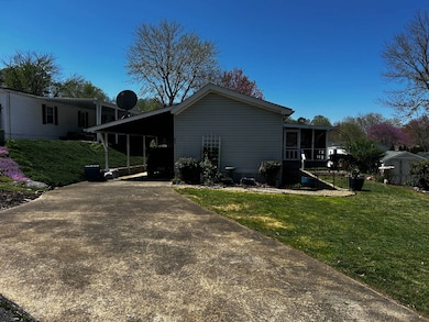 Driveway to Carport