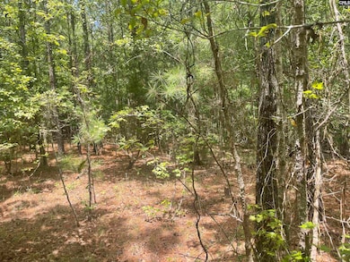 921 Jackson Rd, Ridgeway, SC 29130 - photo 4