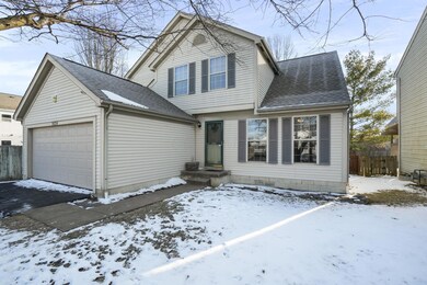 2-web-or-mls-DSC09623