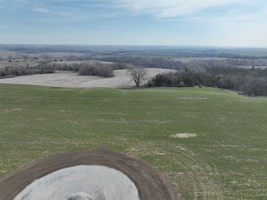 1975 Street Rd unit Lot 1, Dwight, NE 68635 - photo 5