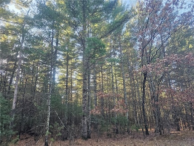 XXX E Harmon Ave, Grantsburg, WI 54840 - photo 4