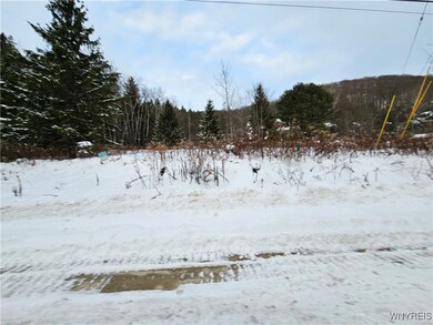 48 Mill St, Ellicottville, NY 14731 - photo 7