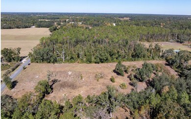 TBD 129th Rd, Live Oak, FL 32060 - photo 6