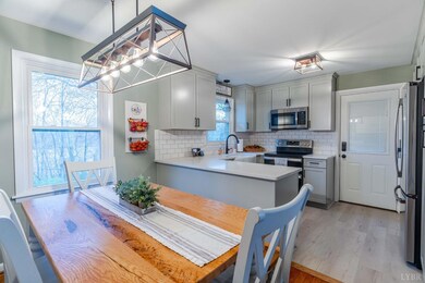 252 Grandview Dr, Amherst, VA 24521 - photo 2