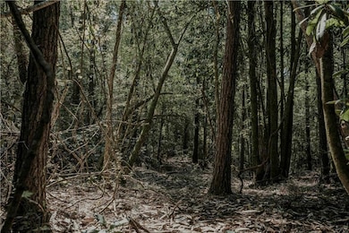 0 Hwy 1083 (Ben Williams Rd ) Hwy, Covington, LA 70435 - photo 7