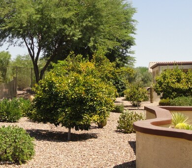 15466 W Big Sky Dr, Surprise, AZ 85374 - photo 6