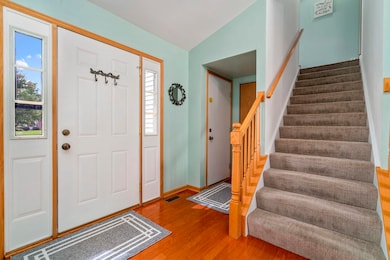 24246 W Walnut Cir, Plainfield, IL 60585 - photo 5