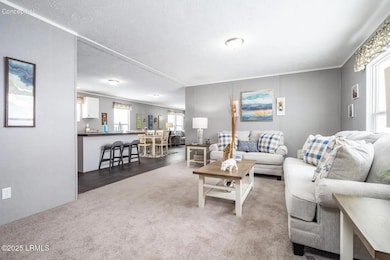 246 Proctor St, Ridgeland, SC 29936 - photo 2