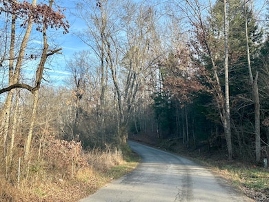 Lot 12 Hensley Rd, East Bernstadt, KY 40729 - photo 3