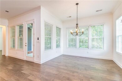 Representational Photo Only