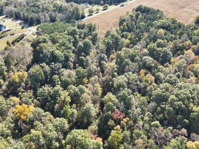 000 Roaring Fork Lake Rd, Chatham, VA 24531 - photo 4