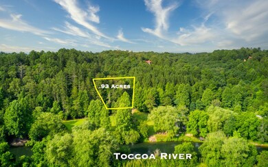 0 Bear Walk Rd unit 291442, Mineral Bluff, GA 30559 - photo 4