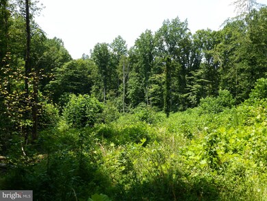 12640 Mill Rd, Fredericksburg, VA 22407 - photo 5