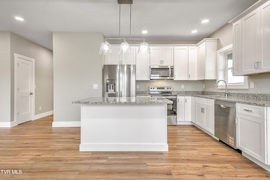 1797 Rock Springs Rd, Kingsport, TN 37664 - photo 4