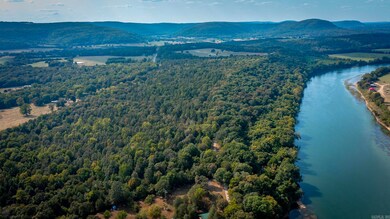 0 Wyatt Dr unit 24035084, Mountain View, AR 72560 - photo 4