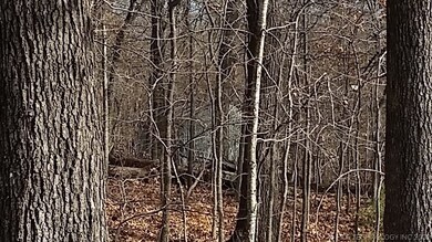 0 Dove Rd unit 2023723, Locust Grove, OK 74352 - photo 4