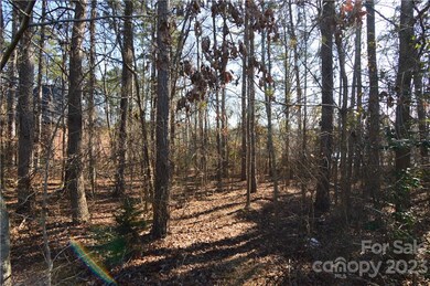 1541 Reflection Pointe Blvd unit 250, Belmont, NC 28012 - photo 5