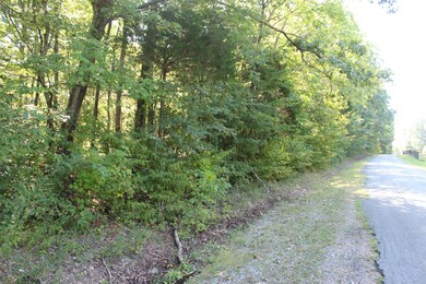 1 Hurricane Church Rd, Stewart, TN 37175 - photo 4