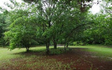 3367 256th St, O Brien, FL 32071 - photo 3