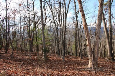 0 Supinlick Ridge Rd unit LotWP002, Mount Jackson, VA 22842 - photo 7
