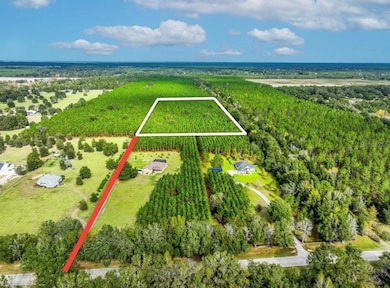 000 NW 78th Ave, Newberry, FL 32669 - photo 2