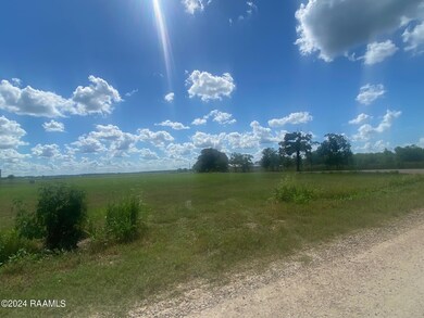 0 Chinaberry Dr, Eunice, LA 70535 - photo 2