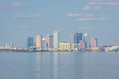 345 Bayshore Blvd unit 805, Tampa, FL 33606 - photo 2
