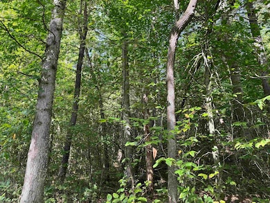 TBD Joe Gibson Rd, Newburg, WV 26410 - photo 2