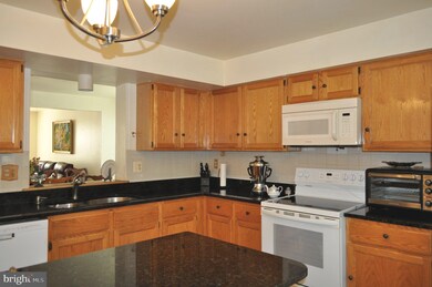 5311 Chase Lions Way, Columbia, MD 21044 - photo 7