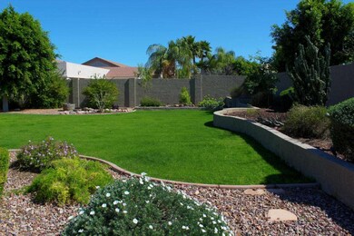 Back Yard Oasis