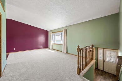 All New Carpet throughout the entire house