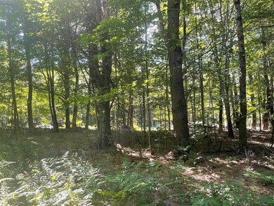 00 Mcmillan Rd, Whitingham, VT 05342 - photo 2