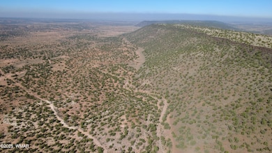 9591 Privette Ln, Snowflake, AZ 85937 - photo 7