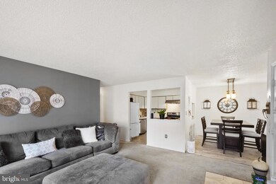 65 Mulberry Ct, Trenton, NJ 08619 - photo 3