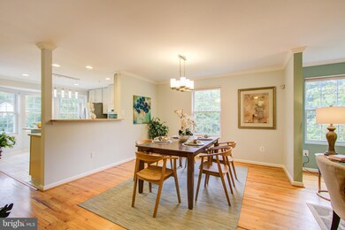 6443 Orchard Ave, Takoma Park, MD 20912 - photo 7