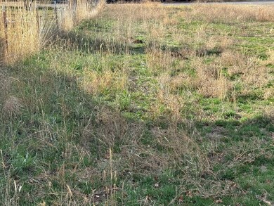 310 N Main St, Dorris, CA 96023 - photo 4