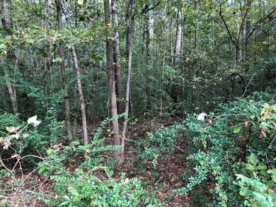 81.15 ac U S 59, Nacogdoches, TX 75965 - photo 3