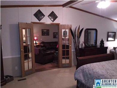 MASTER BEDROOM VIEW 3 - BEAUTIFUL GLASS FRENCH DOO