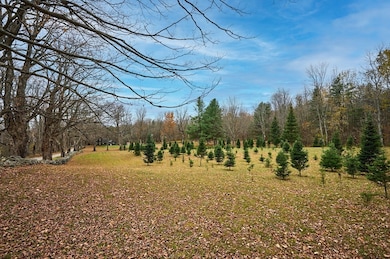 10 Maple St, Plainfield, MA 01070 - photo 4