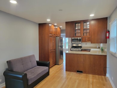 1001 E Callero Cir unit 1, Mount Prospect, IL 60056 - photo 5