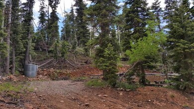 1035 W Shale Cir Zvme E-152, Duck Creek Village, UT 84762 - photo 4