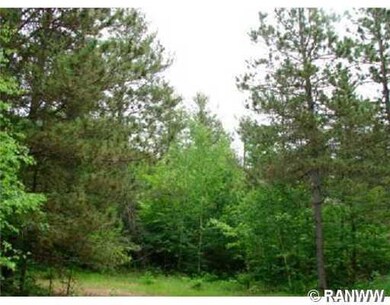 Lot 7 Mallard Lake Rd, Webster, WI 54893 - photo 3